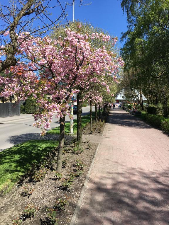 Apartamenty Nad Potoczkiem Ustroň Exteriér fotografie